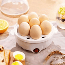EggCook - Cozedor de Ovos Elétrico Portátil - Entrega Grátis - Tik Trend