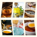 OliZen - Porta Azeite, Óleo e Vinagre com Spray Borrifador e Bico Dosador + Brinde Exclusivo - Entrega Grátis - Tik Trend